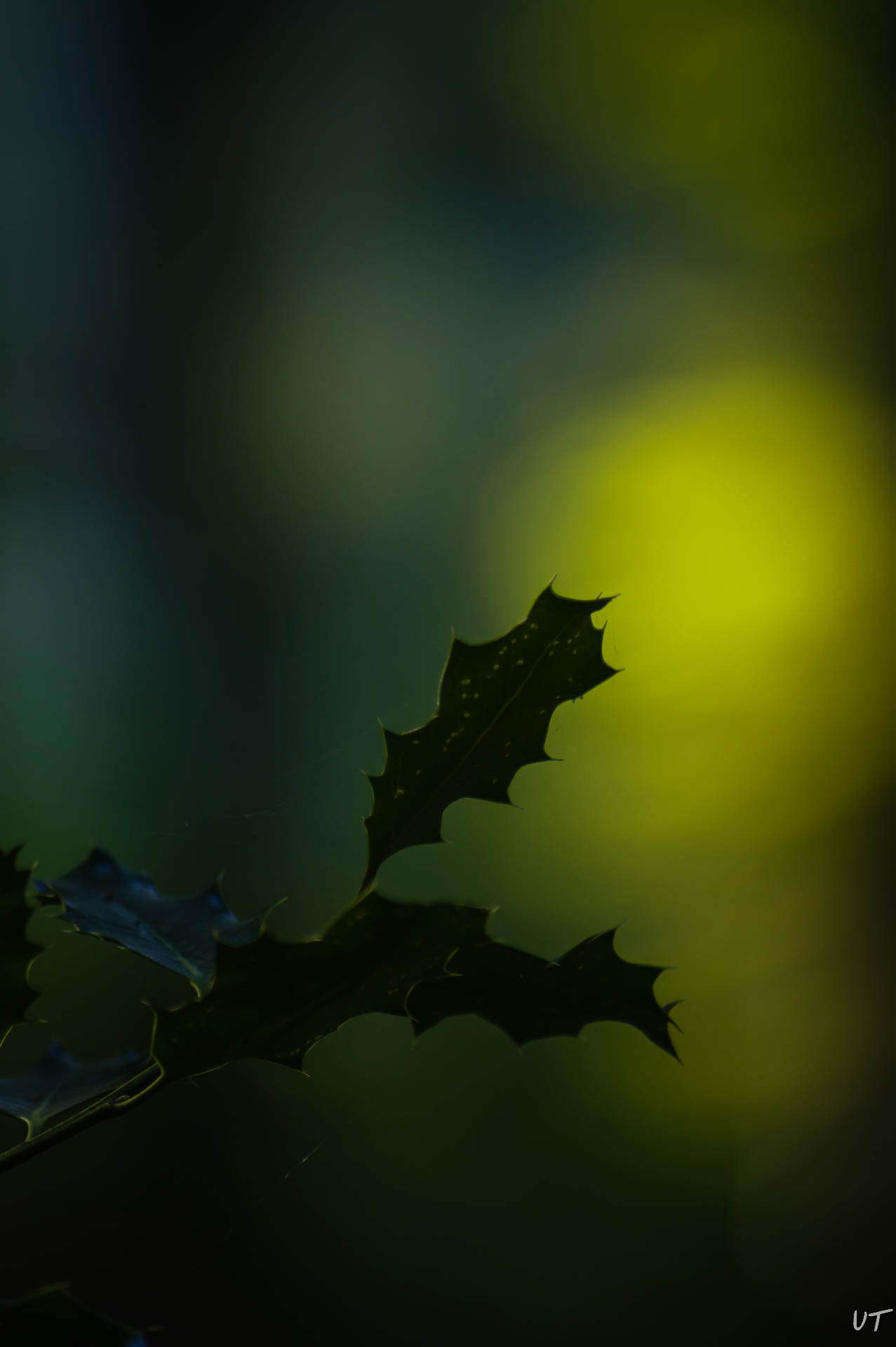 Herbst