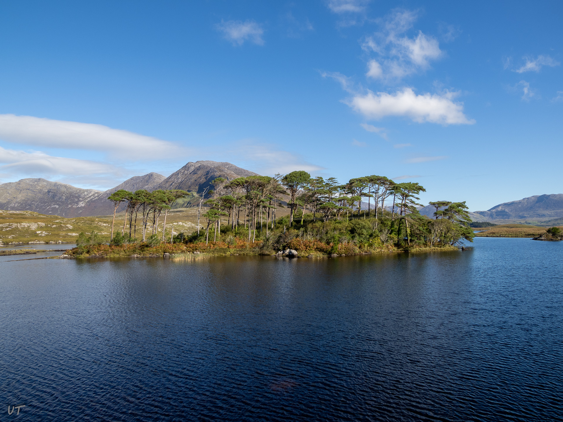 Pine Island